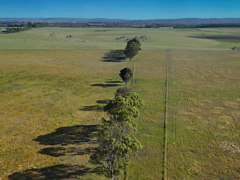 Lot 267,  Albany Views Private Estate, Drome