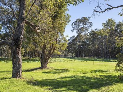 7 Dobbins Place, Witchcliffe WA 6286