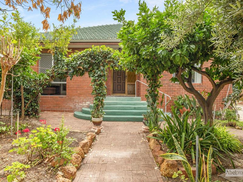 47 Raymond Street, Yokine WA 6060