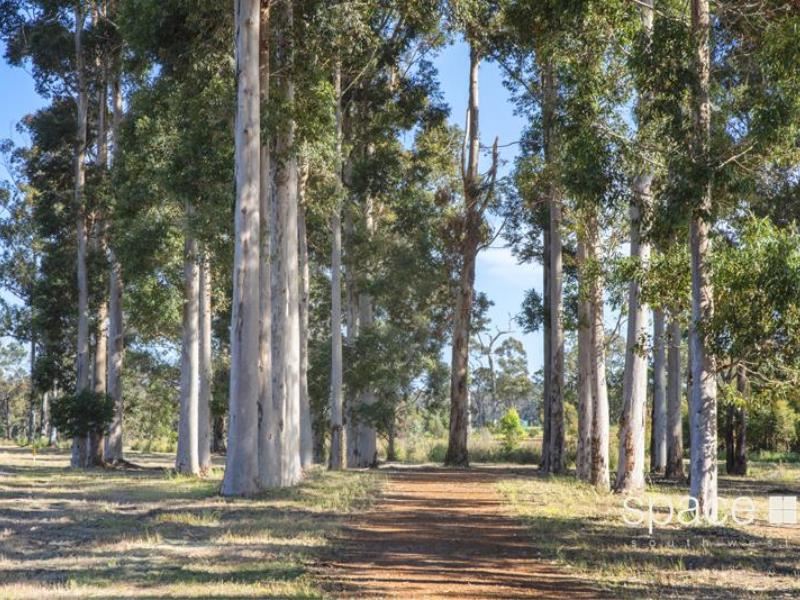 34 Sprigg Road, Witchcliffe