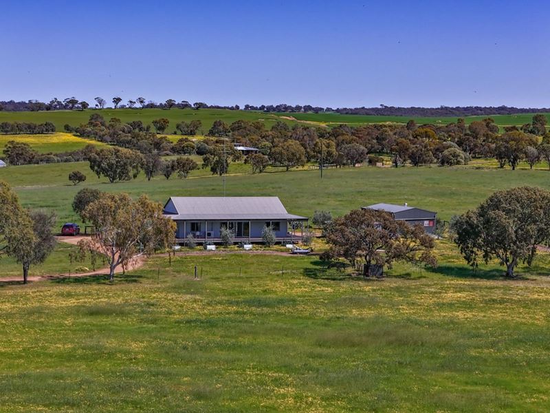 487 Wongamine  Road, Buckland