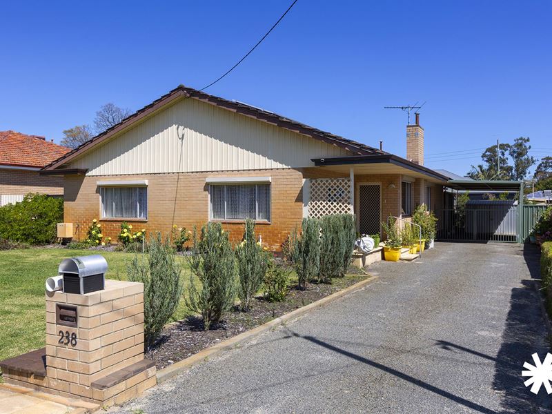 238 Belgravia Street, Belmont