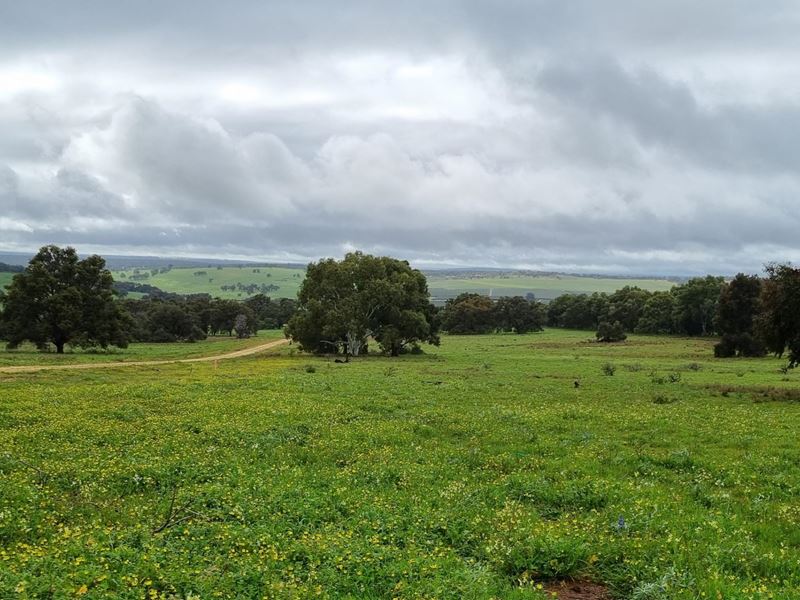 Lot 69,  Starbush Way, Gingin