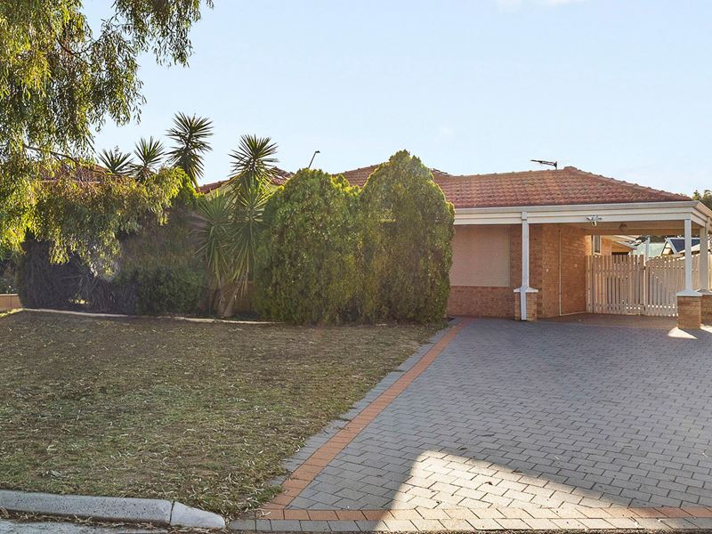 16 St Anthony Drive, Stirling WA 6021