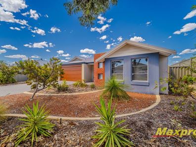42 Bewdley Way, Alkimos WA 6038