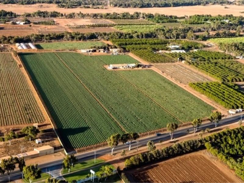 563 & 561 Robinson  Street, Carnarvon