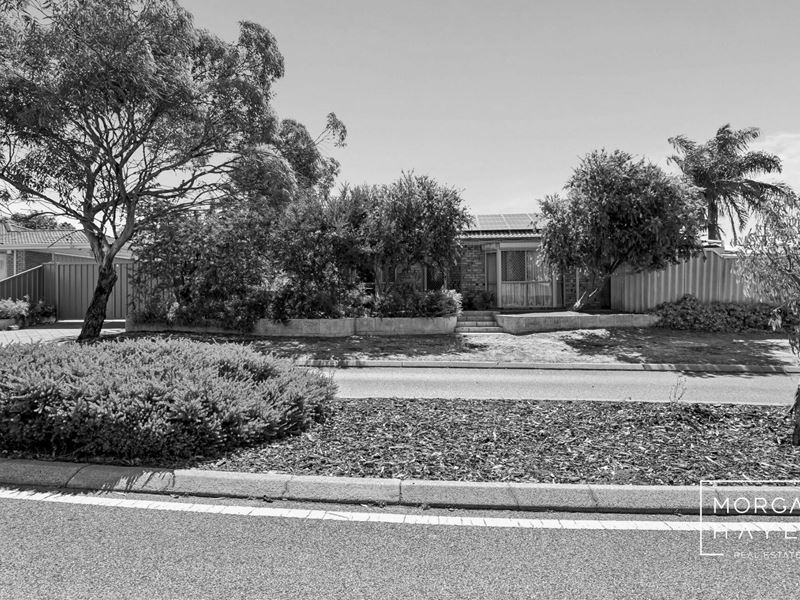 20 Dryandra Drive, Mirrabooka WA 6061