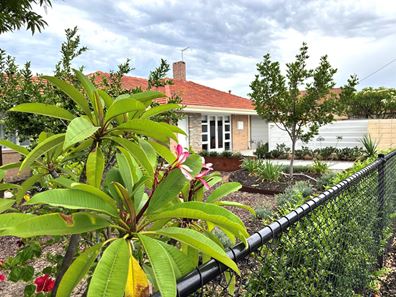 15 Michael Street, Yokine WA 6060