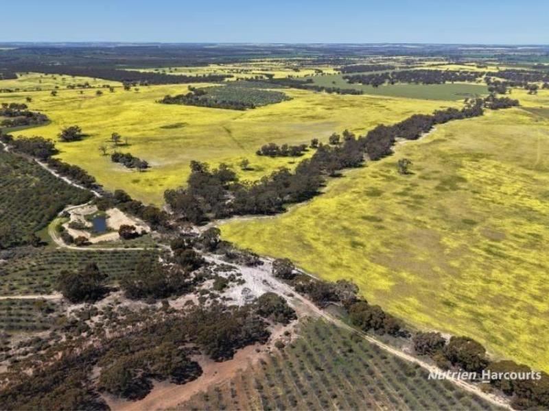 184 Ewert Road, Morbinning
