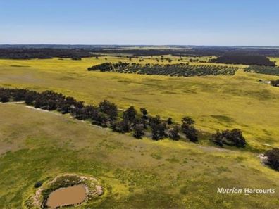 184 Ewert Road, Morbinning WA 6304