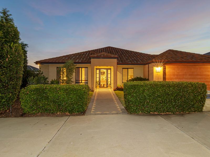 19 Wadhurst Road, Butler WA 6036