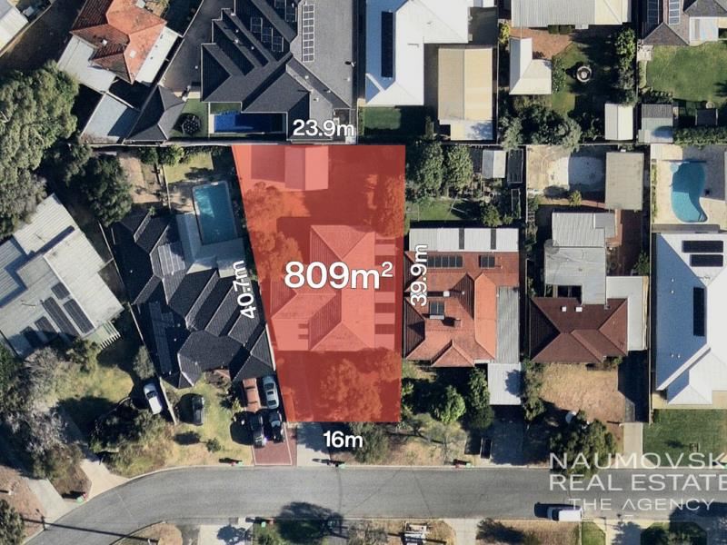 19 Glenwood Way, Balcatta WA 6021