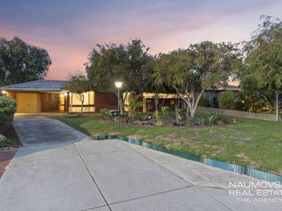 19 Glenwood Way, Balcatta WA 6021