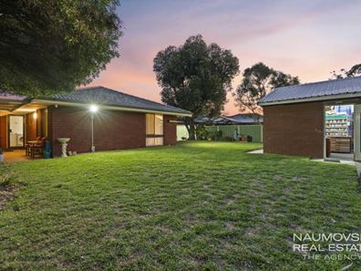 19 Glenwood Way, Balcatta WA 6021
