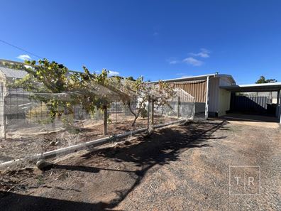 34 Brockman Street, Norseman WA 6443