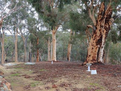 38 Scaevola Rd, Coondle, Toodyay WA 6566