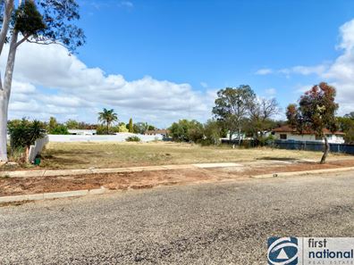 17 Byfield St, Meckering WA 6405