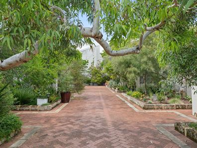 2/3 Ellen Street, Fremantle WA 6160