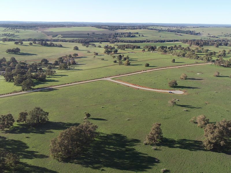 Lot 120,  Starbush  Way, Ginginup