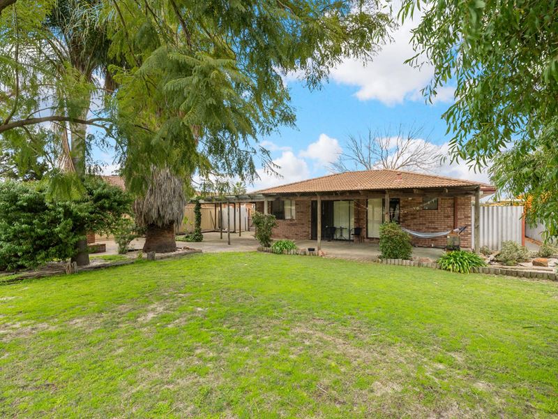 43 Dwyer Crescent, Gosnells WA 6110