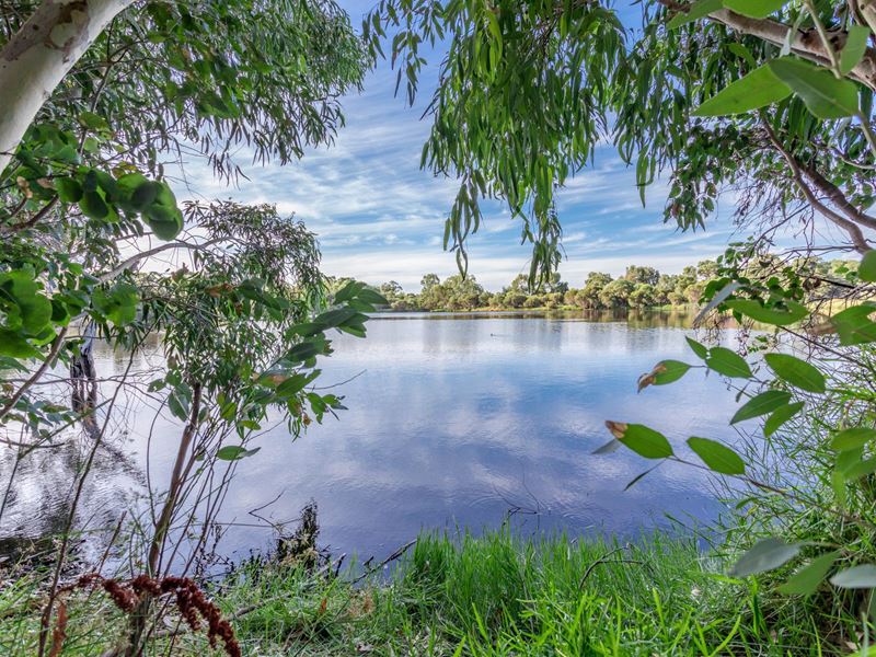 37 Mariposa Gardens, Success