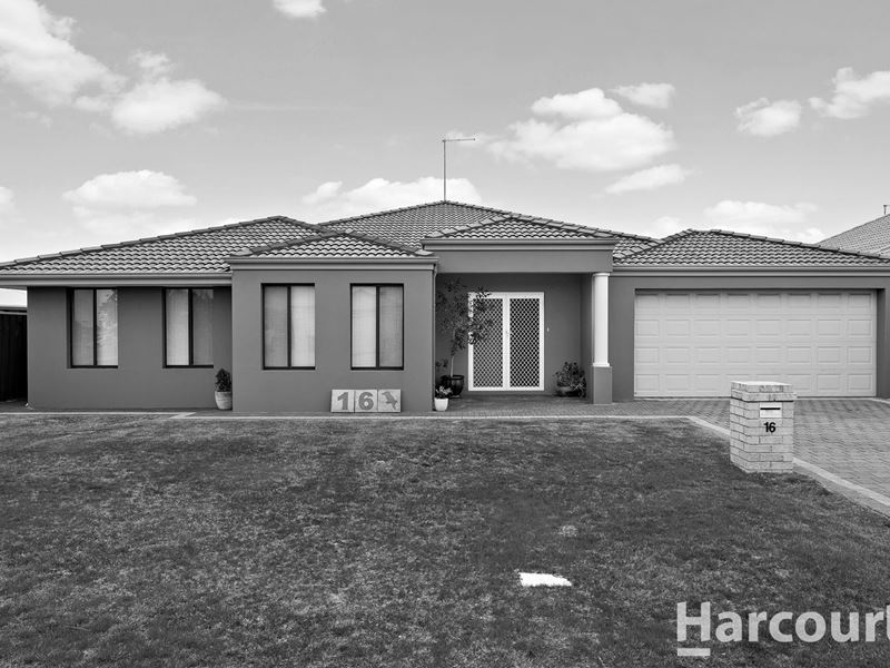 16 Scarab Court, Halls Head