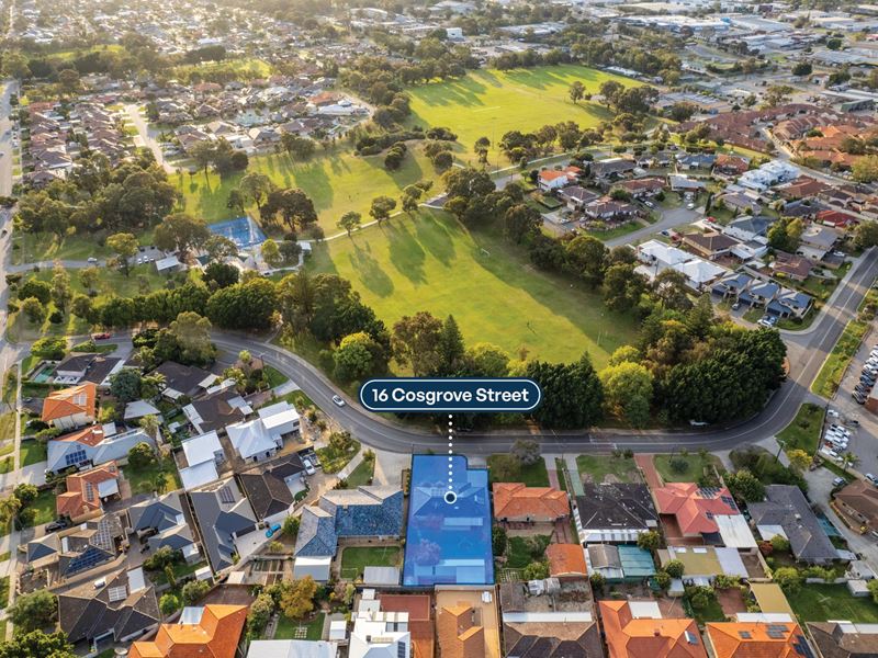 16 Cosgrove Street, Balcatta