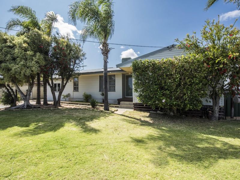 58 Strickland Street, Spalding WA 6530