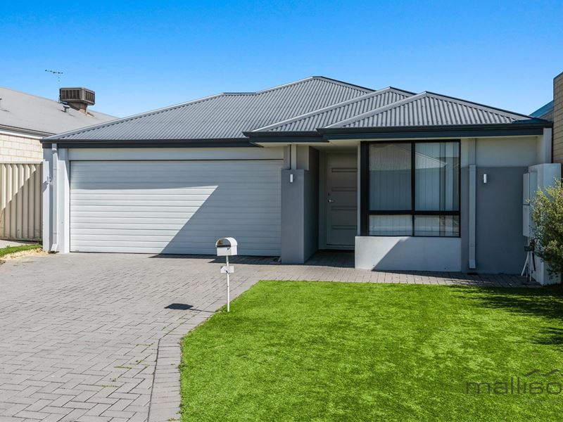 3 Dolomite Avenue, Wellard WA 6170