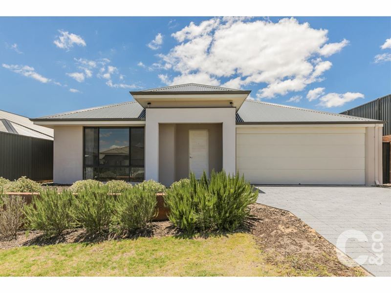 21 Nepine Vista, Wandi