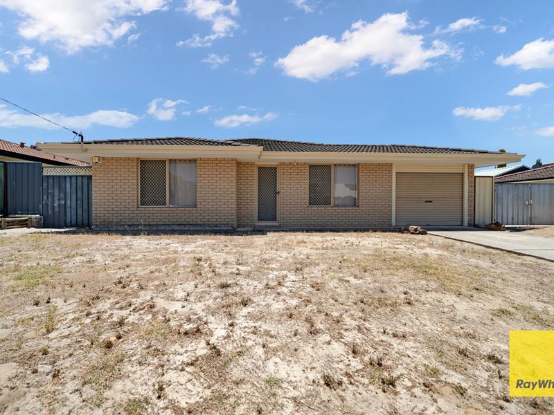 164 Amazon Drive, Beechboro WA 6063