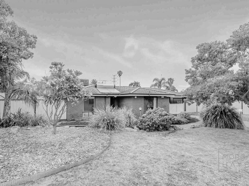 13 Houtmans  Street, Shelley WA 6148