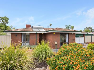 13 Houtmans  Street, Shelley WA 6148