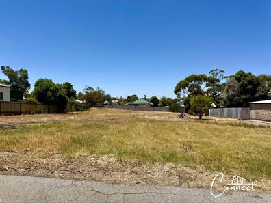 20 Stirling Street, Northam WA 6401