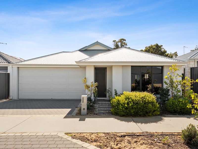 19 Chilvers Street, Baldivis WA 6171