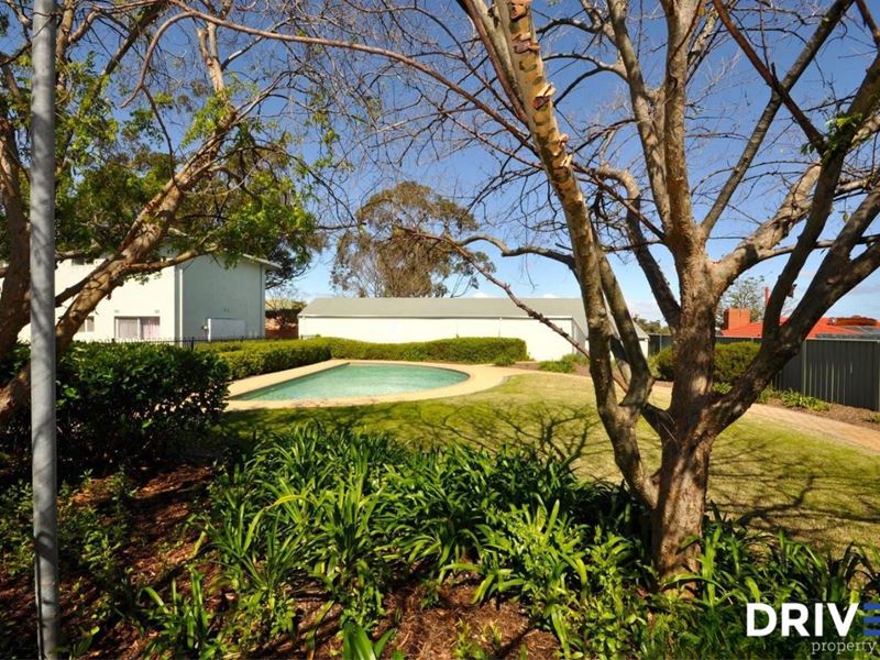 3/33 Steward Way, Orelia