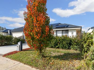 18 Moristel Way, Dayton WA 6055