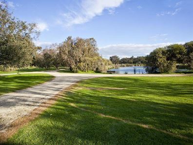 21A/305 Harborne Street, Glendalough WA 6016