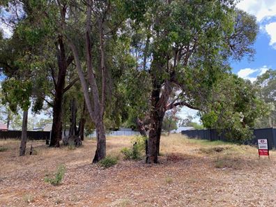 9 Howie Place, Collie WA 6225