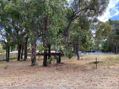 9 Howie Place, Collie WA 6225