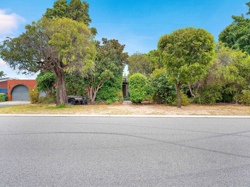 175 Schruth Street, Armadale