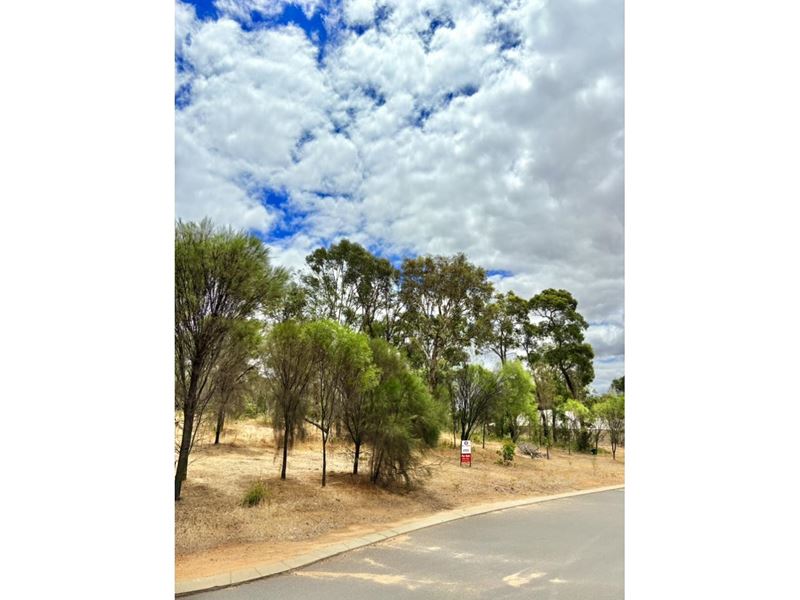 15 King Street, Darkan WA 6392