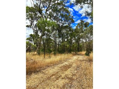 15 King Street, Darkan WA 6392