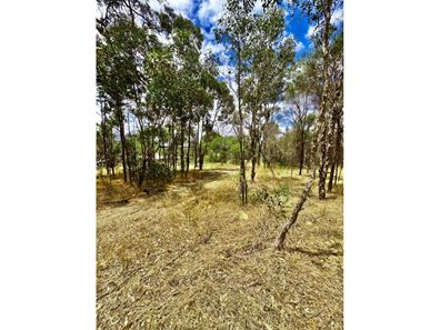 15 King Street, Darkan WA 6392