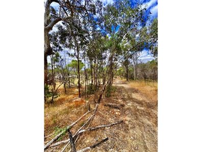 15 King Street, Darkan WA 6392