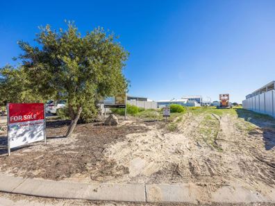 8 Long Street, Leeman WA 6514