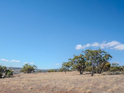 Toodyay WA 6566