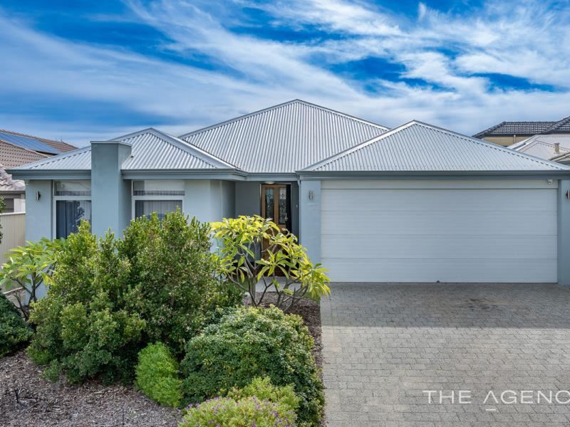 31 Loggerhead Road, Alkimos WA 6038