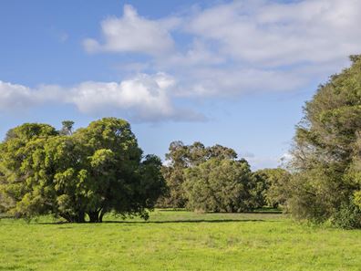 Lot 24,  Blackwood Grove, Kudardup WA 6290