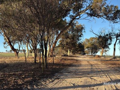 1368 Yilliminning Road, Boundain WA 6312